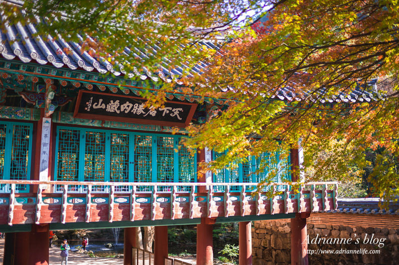 【韓國必去賞楓景點】首爾近郊賞楓的好選擇，內藏山深度賞楓一日遊！
